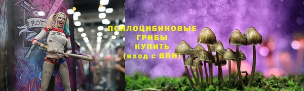 apvp Куйбышев