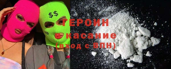 индика Ладушкин
