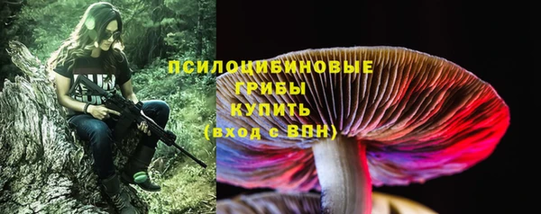 jwh Кукмор