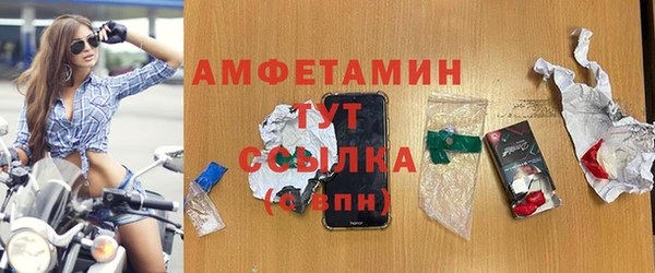 индика Ладушкин