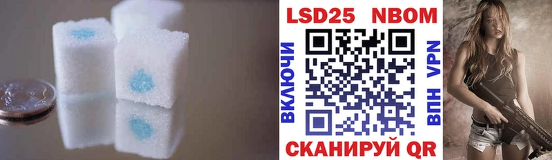 Купить закладки  Пыталово  LSD-25 экстази ecstasy 