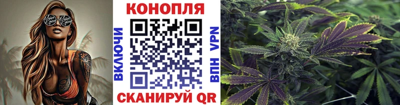 Купить где  Пыталово  Каннабис Amnesia 